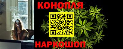 шишки Новозыбков