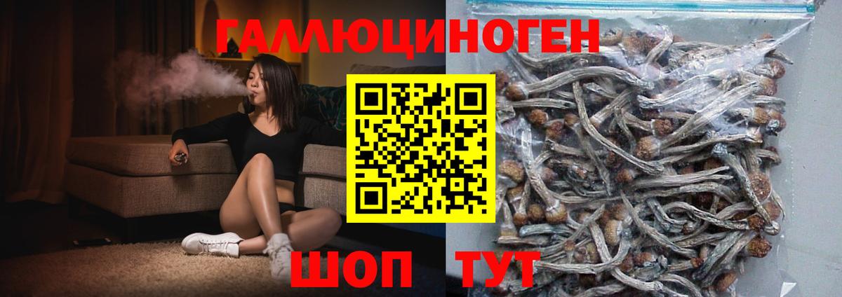 Псилоцибиновые грибы GOLDEN TEACHER  Вход с VPN  Татарск 